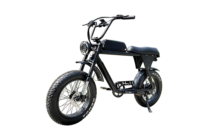 fat tire moped style ebike