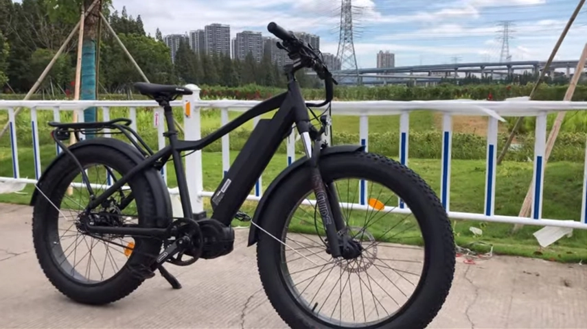 セントラルモーター付きビッグパワー1000W脂肪タイヤEbike