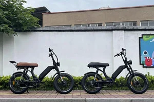 取り外し可能なバッテリーEbikeとは何ですか?