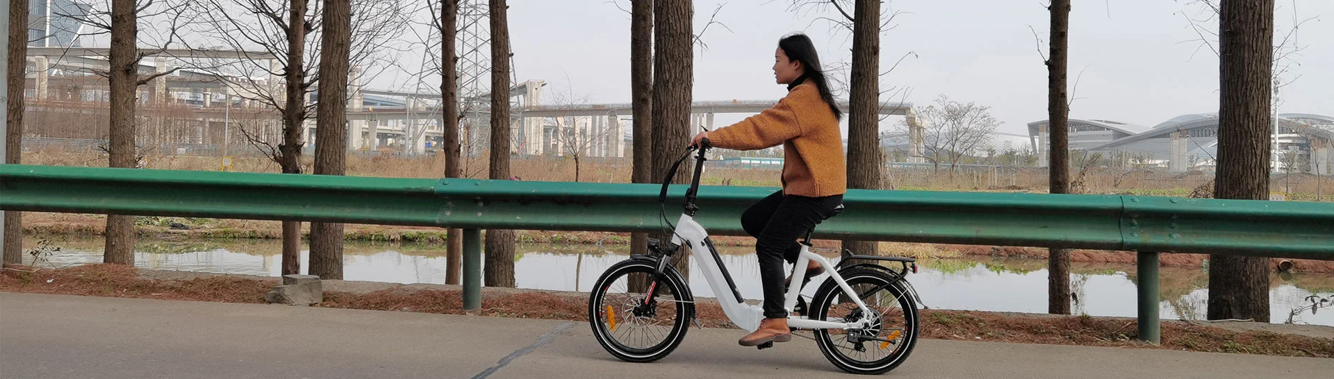 电気シティバイク