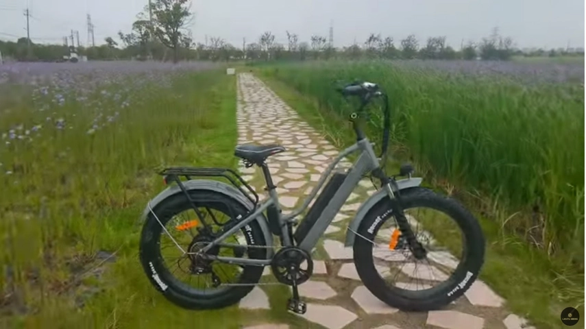 脂肪Ebikesを通して24インチのステップ