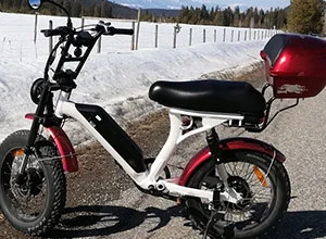 デュアルモーターバイクはどのように機能しますか?